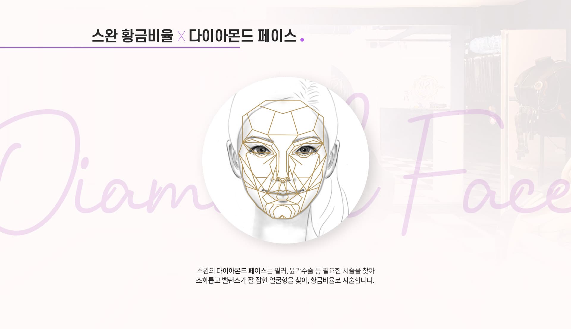 스완 황금비율×다이아몬드 페이스