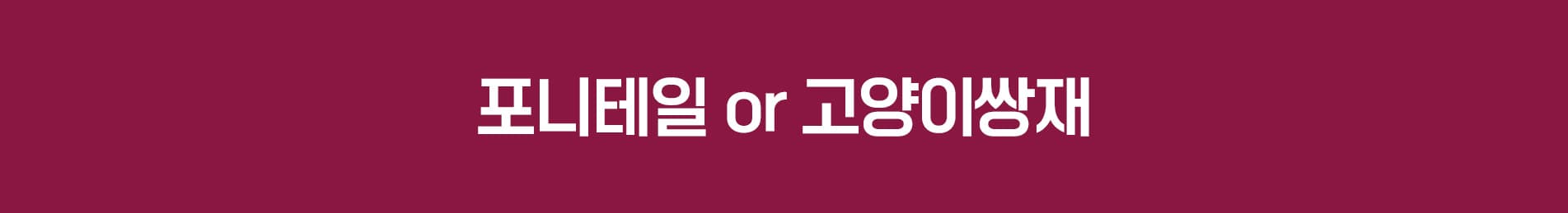 포니테일 or 고양이쌍재