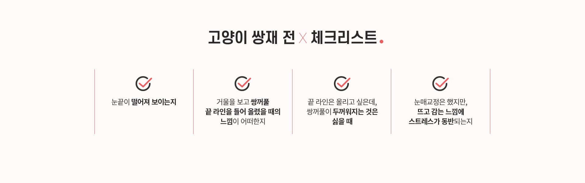 고양이 쌍재 전×체크리스트