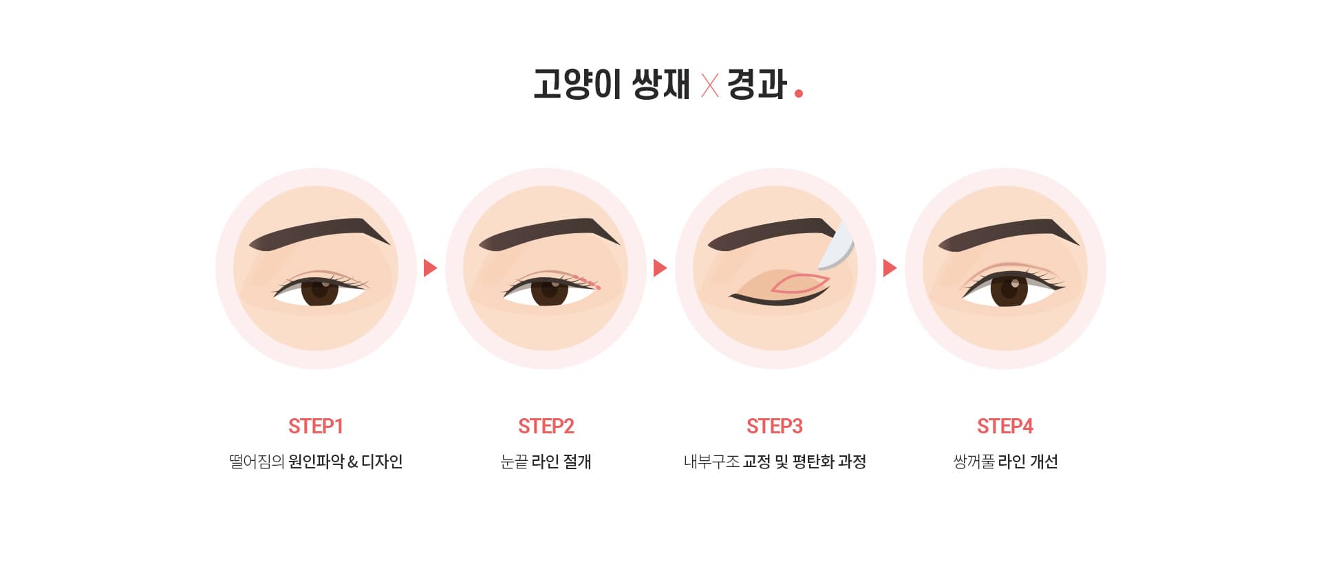 고양이쌍재×경과.