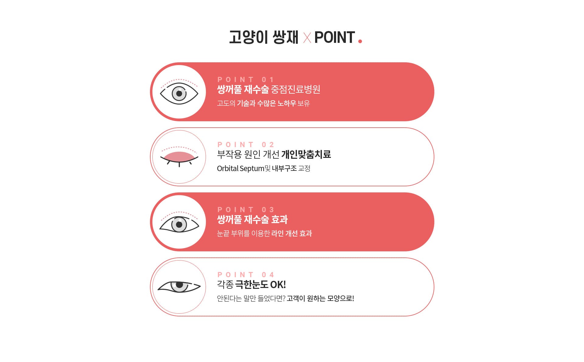 고양이 쌍재×POINT