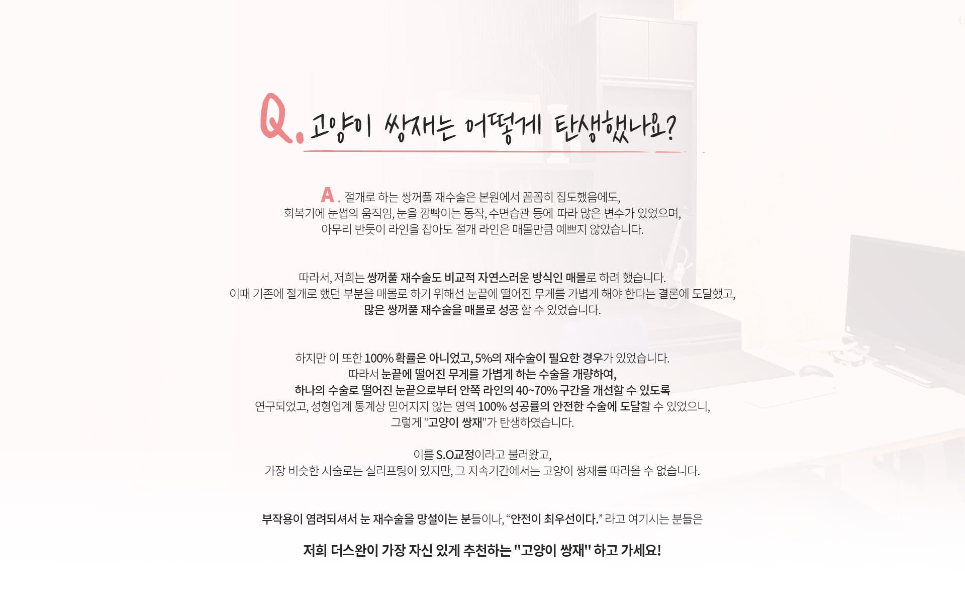 고양이 쌍재는 어떻게탄생했나요?