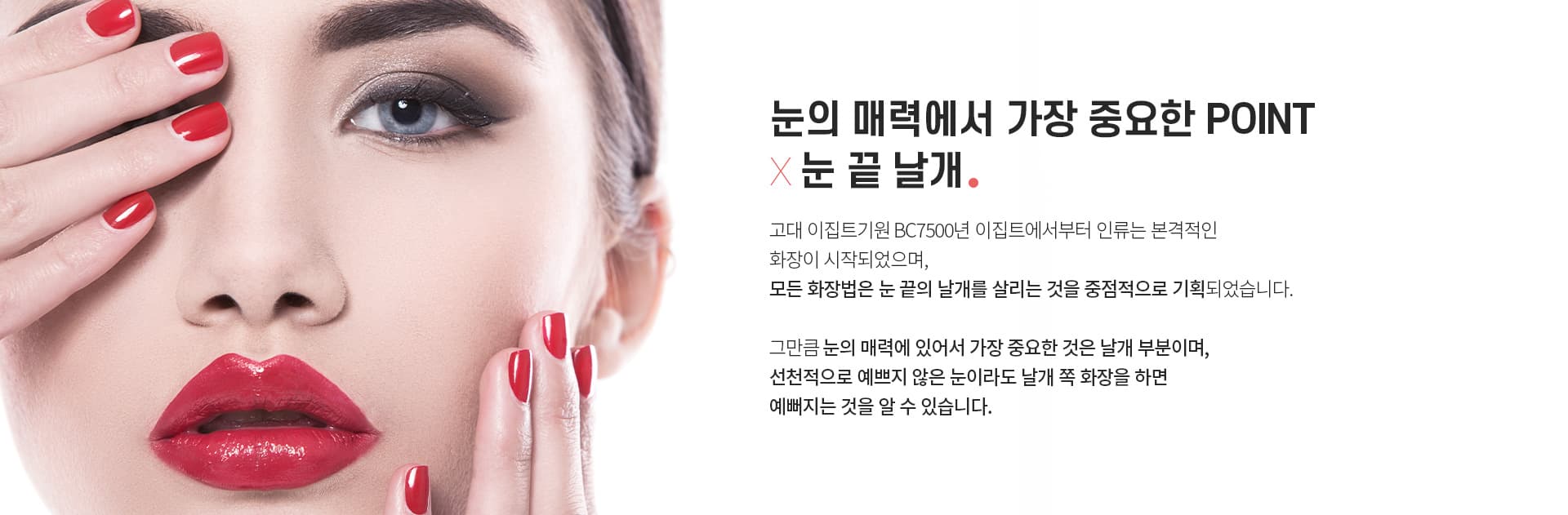 눈의 매력에서 가장 중요한 P이INT