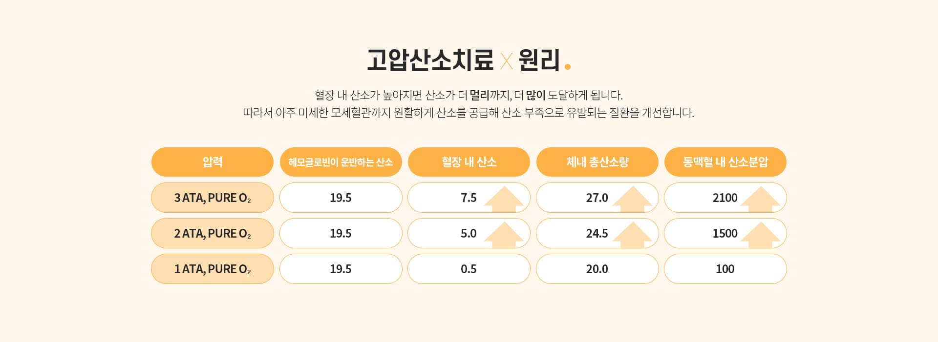 고압산소치료×원리