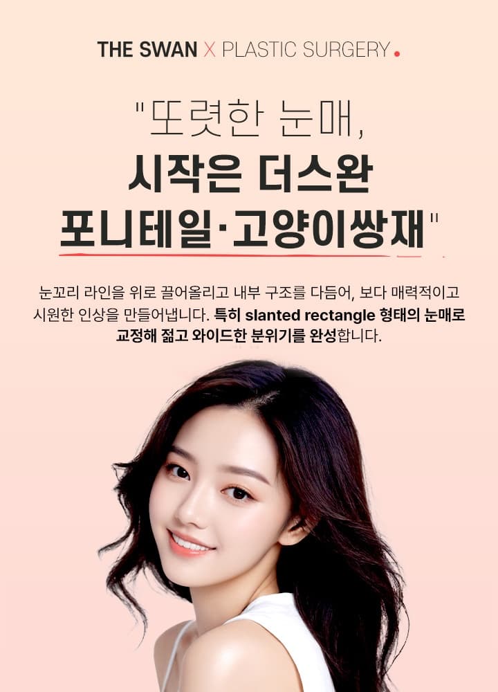고양이 쌍재