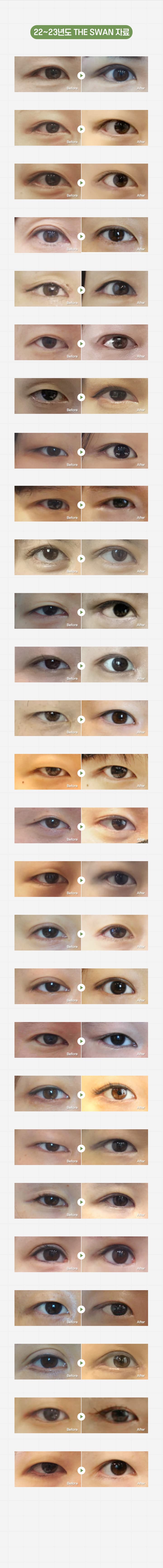 22~23년도 THE SWAN 자료