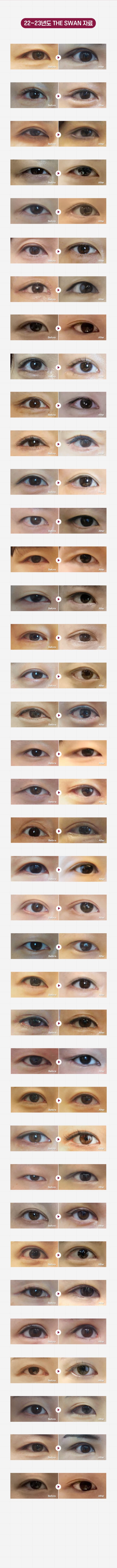 22~23년도 THE SWAN 자료