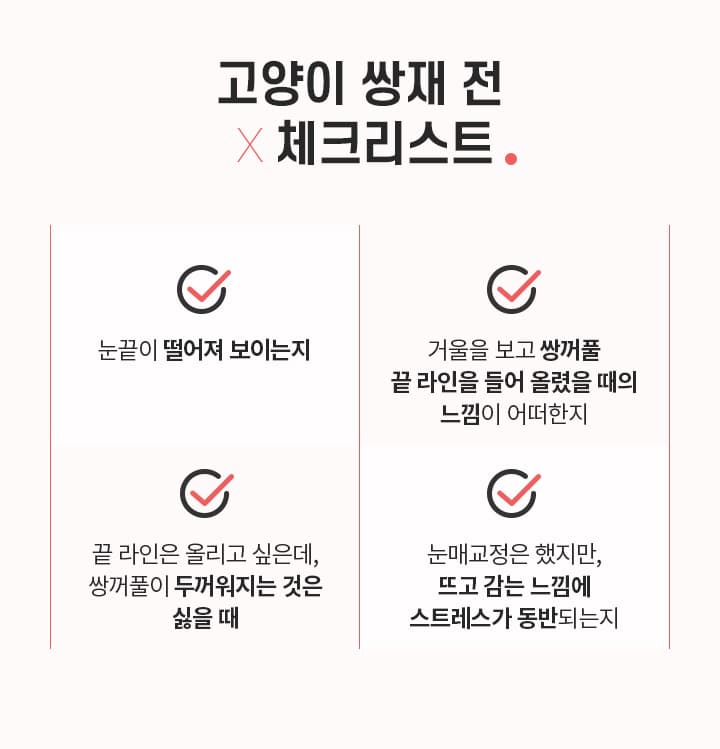 고양이 쌍재 전×체크리스트