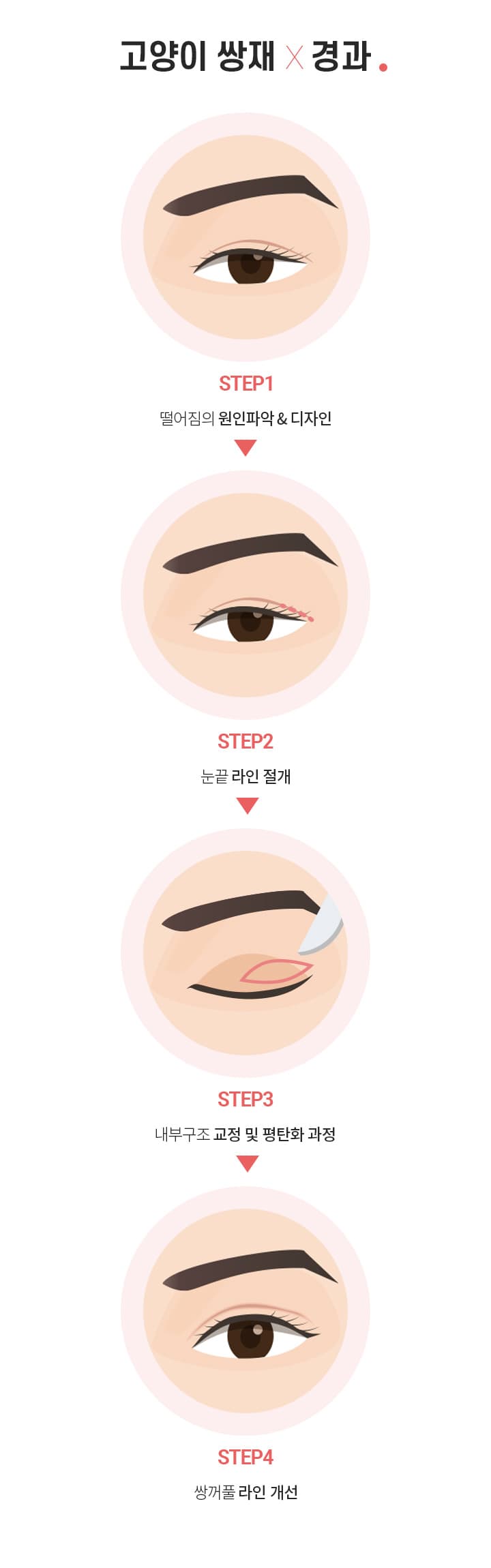 고양이쌍재×경과.