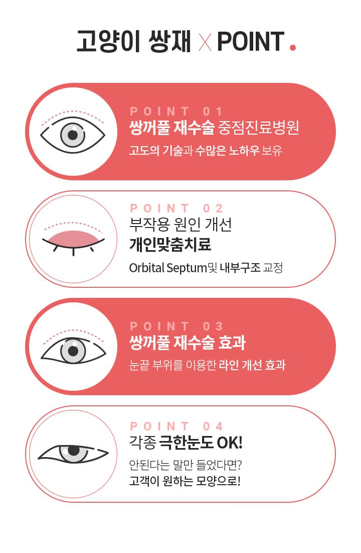 고양이 쌍재×POINT