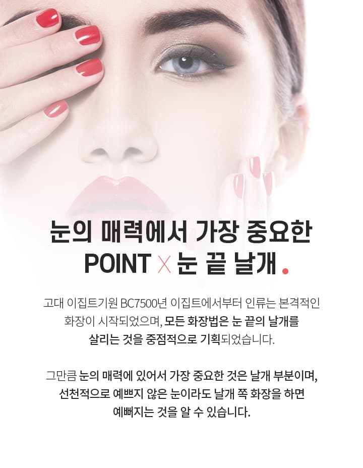 눈의 매력에서 가장 중요한 P이INT