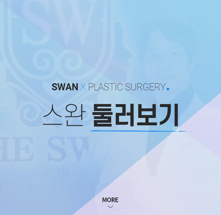 둘러보기 키비주얼