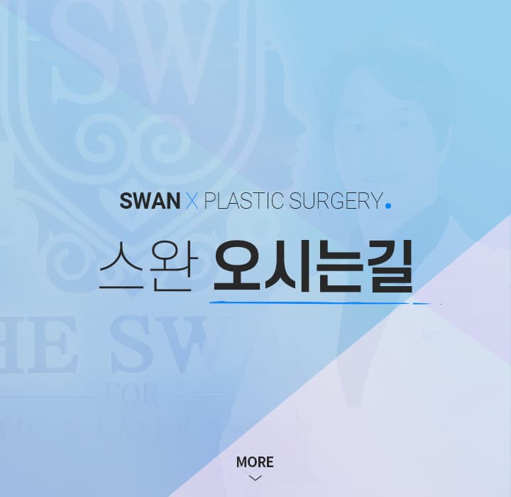스완오시는길